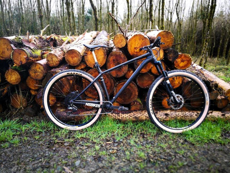 NS Eccentric Evo 29 built bike