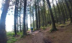 Video: Emerald MTB at Bikepark Wales